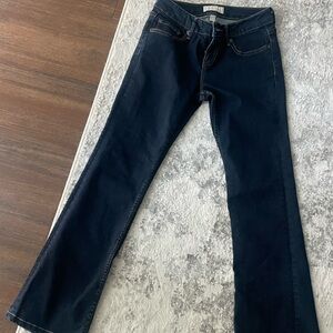 Banana Republic Dark Blue Jeans